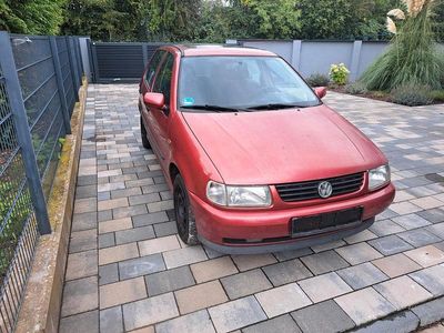 VW Polo