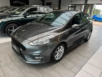Gebraucht Ford Fiesta ST-Line X 155 PS (114 kW) 2019 Grau Kleinwagen