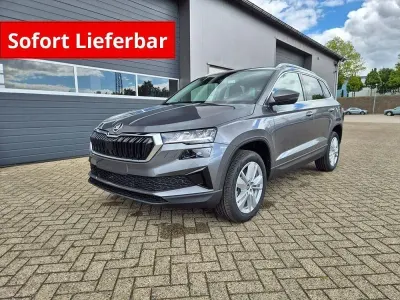 Neu Skoda Karoq Selection 150 PS (110 kW) 2026 Grau SUV