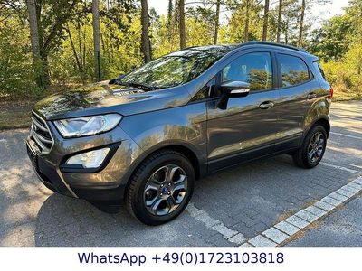 Gebraucht Ford Ecosport Titanium 125 PS (91 kW) 2020 Grau SUV