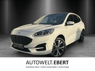 Gebraucht Ford Kuga ST-Line 224 PS (164 kW) 2021 Frostweiß SUV