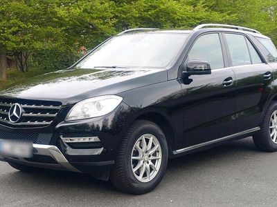 Mercedes ML250