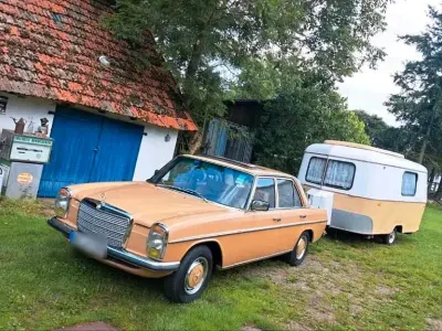 Gebraucht Mercedes W115 98 PS (72 kW) 1976 Beige Limousine