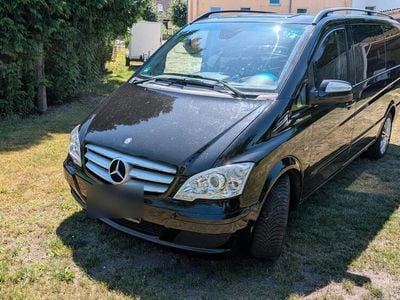 Mercedes Viano