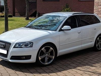 Gebraucht Audi A3 Ambition 125 PS (91 kW) 2010 Weiß Kleinwagen