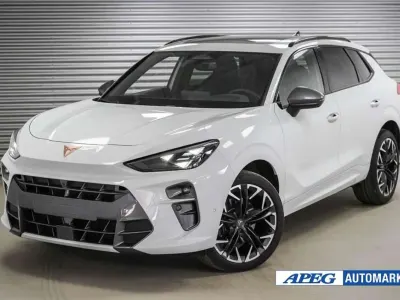 Usata Cupra Terramar VZ 265 CV (194 kW) 2025 Bianco SUV