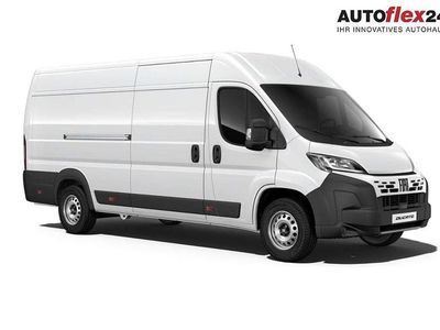 Neu Fiat Ducato 140 PS (102 kW) 2026 Weiß Van