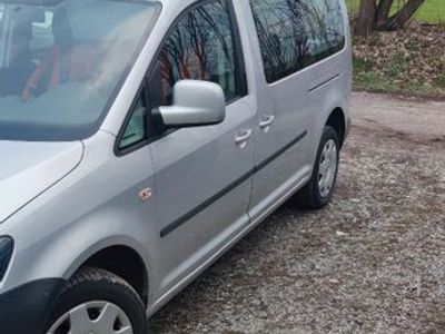 VW Caddy Maxi