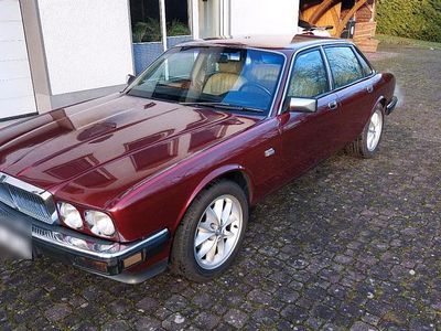 Rot Gebraucht 1987 Jaguar XJ40 Limousine | 5.888 €
