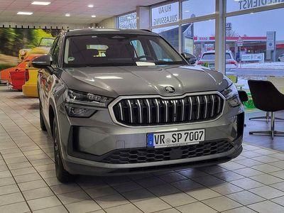 Gebraucht Skoda Kodiaq Selection 193 PS (141 kW) 2024 Grau SUV