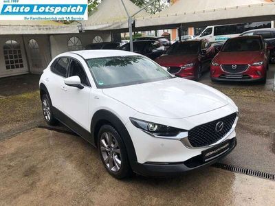 gebraucht Mazda CX-30 SKYACTIV-G 2.0 M Hybrid