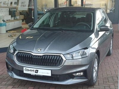 Grau Neu 2025 Skoda Fabia Selection Limousine | 18.190 € (Fairer Preis)