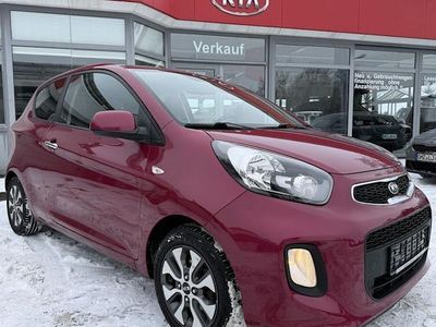 Gebraucht Kia Picanto Start 66 PS (48 kW) 2016 Violett Kleinwagen