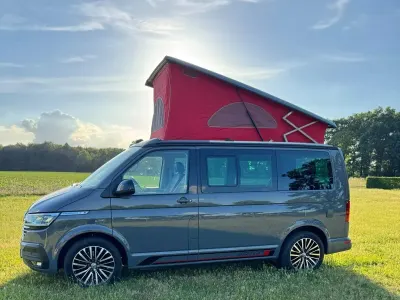 Gebraucht VW California Pure 204 PS (150 kW) 2021 Grau Van