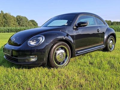 VW Beetle