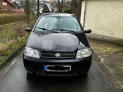 gebraucht Fiat Punto 1.2 8V Active Clima Active Clima