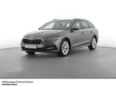 Usata Skoda Octavia Ambition 204 CV (150 kW) 2024 Grigio Station wagon