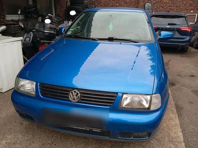 VW Polo
