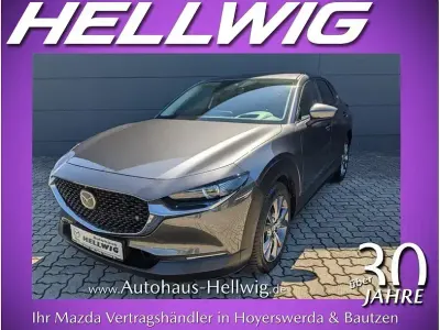 Gebraucht Mazda CX-30 Selection 360 PS (264 kW) 2020 Grau SUV