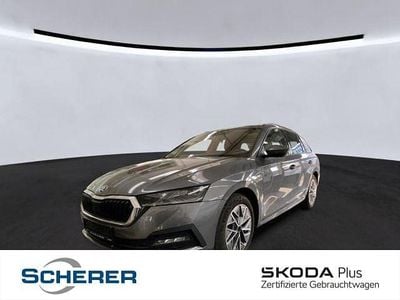 Usata Skoda Octavia Ambition 150 CV (110 kW) 2022 Grigio Berlina