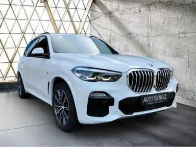 Gebraucht BMW X5 265 PS (194 kW) 2019 Weiß SUV