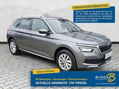 Gebraucht Skoda Kamiq Ambition 110 PS (80 kW) 2024 Grau SUV