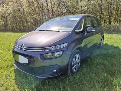Usata Citroën C4 SpaceTourer PureTech 131 CV (96 kW) 2019 Grigio Monovolume