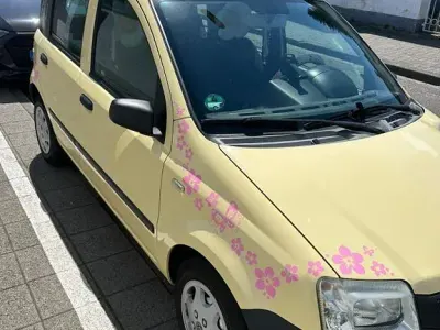 Gebraucht Fiat Panda Active 54 PS (39 kW) 2009 Gelb Kleinwagen