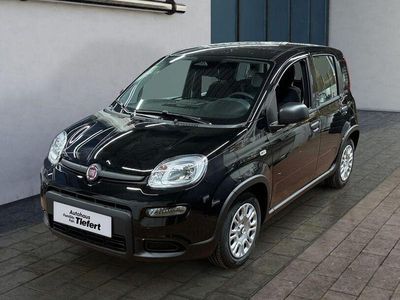 Gebraucht Fiat Panda 51 PS (37 kW) 2024 Schwarz Kleinwagen