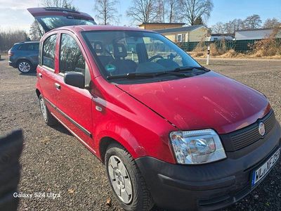 Gebraucht Fiat Panda 60 PS (44 kW) 2008 Rot Kleinwagen
