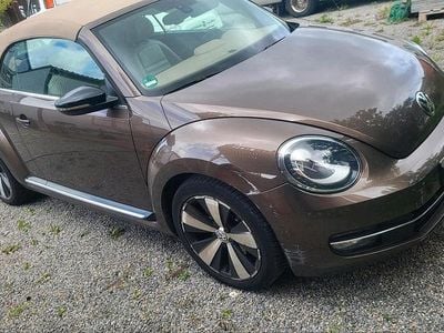 VW Beetle