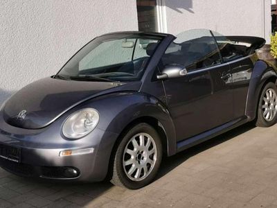 VW Beetle