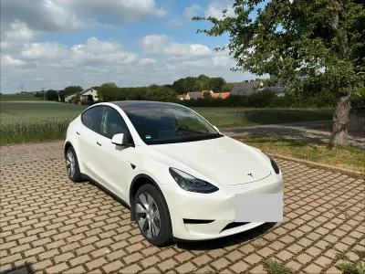 Gebraucht Tesla Model Y RWD 255 kW (347 PS) 2023 Weiß SUV
