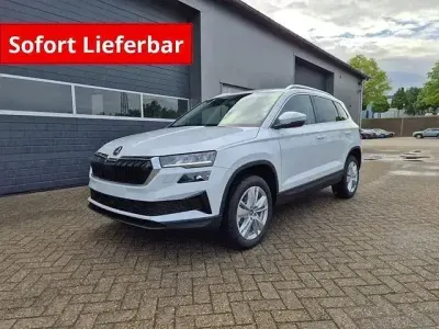 Neu Skoda Karoq Selection 150 PS (110 kW) 2026 Grau SUV