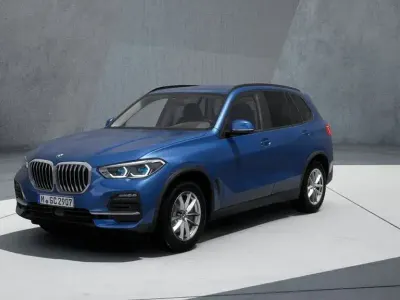 Gebraucht BMW X5 Sport Line 265 PS (194 kW) 2019 Blau SUV