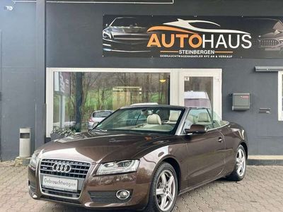 gebraucht Audi A5 Cabriolet 2.0 TFSI quattro/Leder/Navi/Xenon