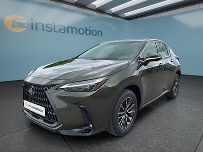 Neu Lexus NX350h Executive Line 243 PS (178 kW) 2025 Grün SUV