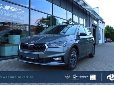 Gebraucht Skoda Fabia Tour 110 PS (80 kW) 2021 Othercolor Kleinwagen