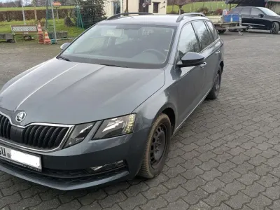 Gebraucht Skoda Octavia G-TEC Ambition 110 PS (80 kW) 2018 Kombi