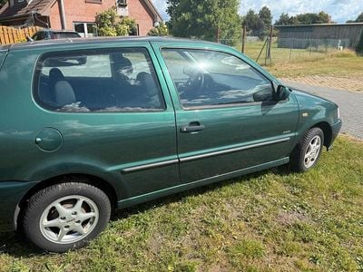 VW Polo