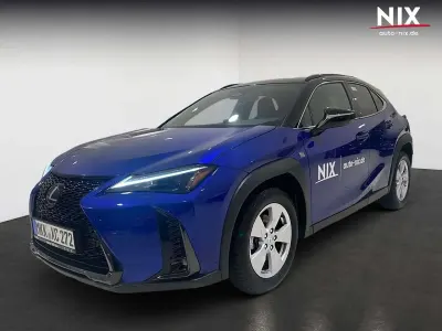 Gebraucht Lexus UX 300h Sport Design Packet 196 PS (144 kW) 2024 Kupferrot / dach schwarz SUV