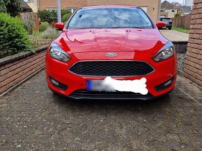 Usata Ford Focus 150 CV (110 kW) 2016 Rosso Berlina