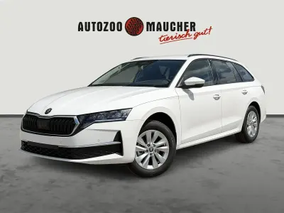 Neu Skoda Octavia Selection 116 PS (85 kW) 2026 Candyweiss Kombi