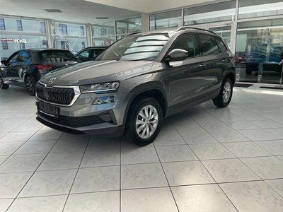 Gebraucht Skoda Karoq Ambition 150 PS (110 kW) 2023 Grau SUV