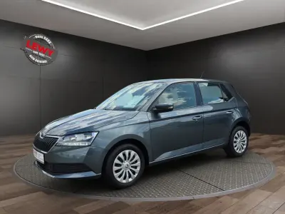 Gebraucht Skoda Fabia Cool Plus 60 PS (44 kW) 2020 Grau Kleinwagen