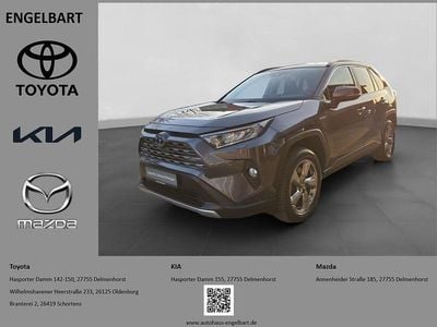 Gebraucht Toyota RAV4 Hybrid Club 218 PS (160 kW) 2019 Grau SUV