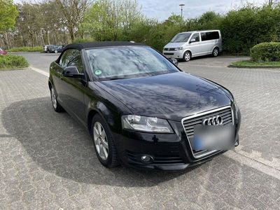 gebraucht Audi A3 Cabriolet 1.6 TDI Ambition - Gepflegt