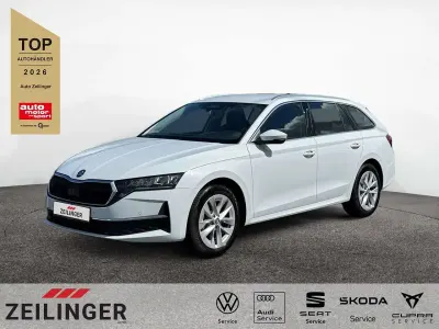 Gebraucht Skoda Octavia Selection 150 PS (110 kW) 2025 Moonweiss Kombi