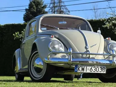 Brugt VW Beetle 34 HK (25 kW) 1962