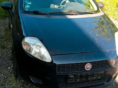 Brugt Fiat Punto